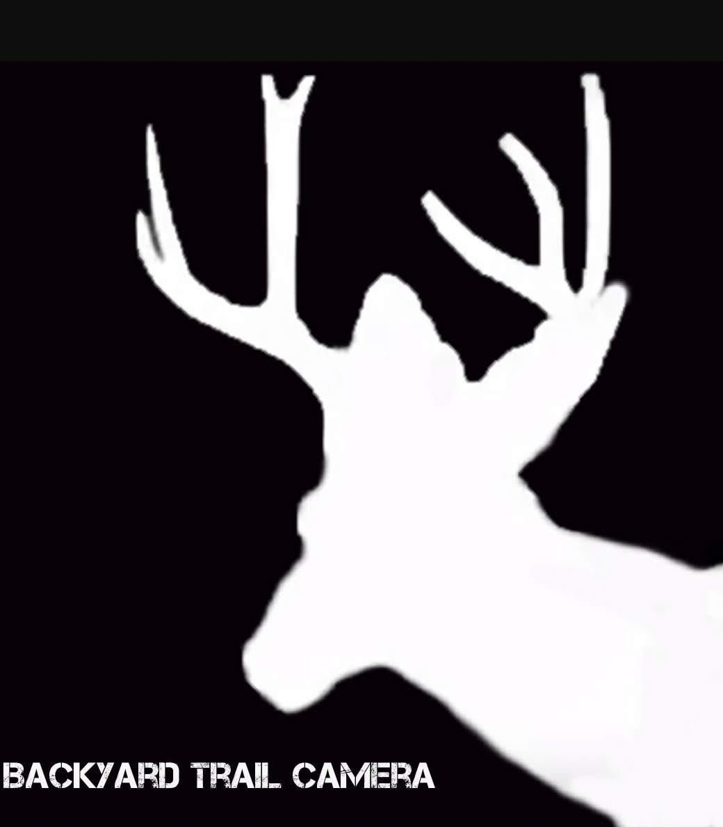 Backyard Trail Camera