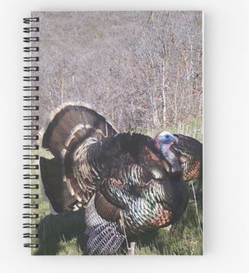turkey notebook backyard trail camera